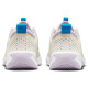 Nike Omni Multi-Court (GS)